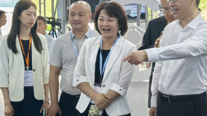 减震器批发价格，如何选择性价比高的产品？**